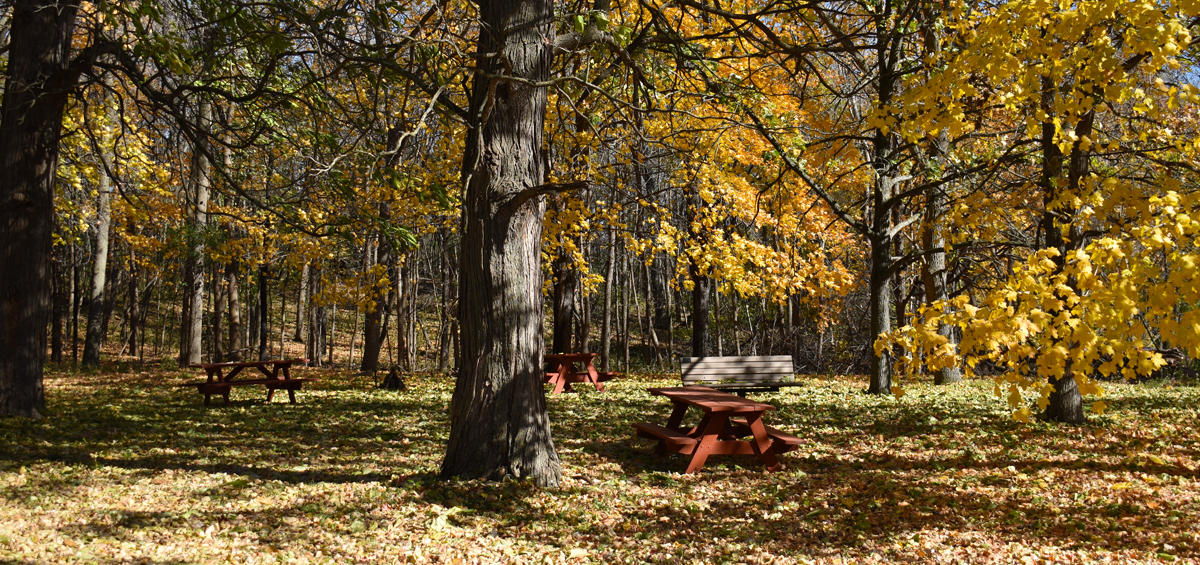 Picnic Areas - River Bend Nature Center