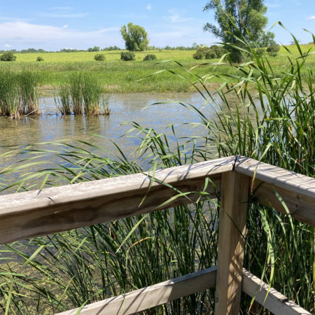 Upper Prairie Pond